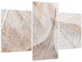 Kép - Bézs levelek (90x60 cm)