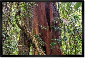Poszterek keretben 60x40 Tájkép Látvány