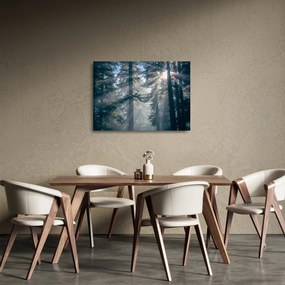 Fák képe a ragyogó nappal (üvegen) (70x50 cm)