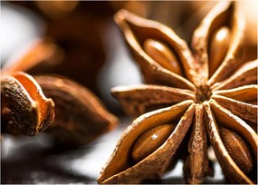 Kép - Anise (70x50 cm)