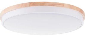 Brilliant - LED Dimmelhető mennyezeti lámpa BAARLO LED/36W/230V átm. 50 cm fehér + távirányító