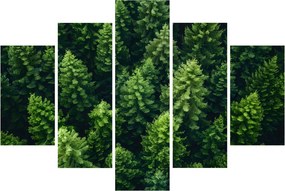 Kép - Forest (150x105 cm)