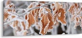 Kép - Fagyott levelek (120x50 cm)