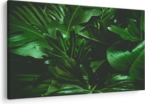 Kép - Pálmalevél (90x60 cm)