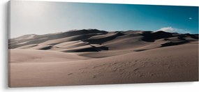 Kép - A sivatagból (120x50 cm)