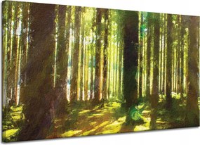 Vászonkép Olajerdő Fák Fény Természet 120x70 cm