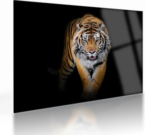 Üveg kép - Tigris (70x50 cm)