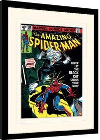 Keretezett poszter Spiderman - Black Cat