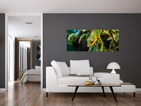 Kaméleon képe (120x50 cm)