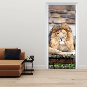 Fotótapéta ajtóra - Oroszlán (95x205cm)