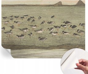 Dekoratív öntapadós fotótapéta Hálószobába Madár nyugalom 312x219 cm