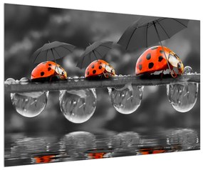 Katicabogarak esernyőkkel (90x60 cm)