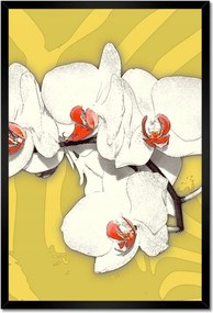 Poszterek keretben 40x60 Orchideák Virágok
