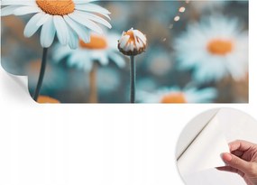 Öntapadós tapéta Falfestmény Prémium Kamilla finomság 250x104