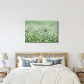 Kép - Reggeli harmat a fűszálakon (90x60 cm)