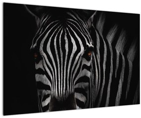 Zebra képe (90x60 cm)