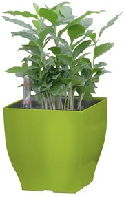 G21 Cube mini virágcserép zöld, 13 cm "külső burkolat