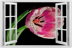 Poszter 60x40 Rózsaszín tulipán