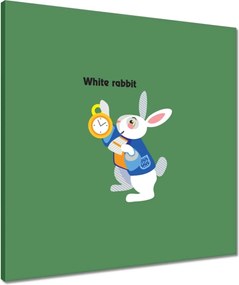 Vászonkép 50x50 Nyúl Csodaországban