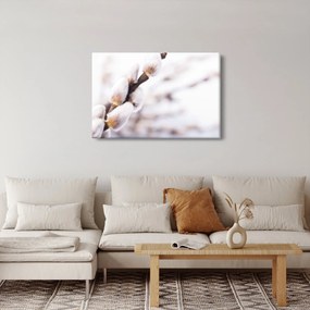 Kép - Macska (90x60 cm)
