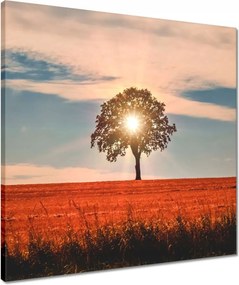 Våszonkép 50x50 Kilåtås Tåjkép