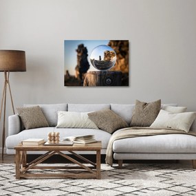Nagyító és a táj képe (üvegen) (70x50 cm)