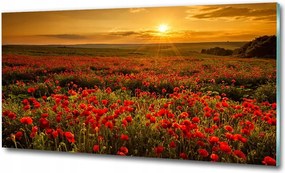 Fotótapéta üveg falra Csónakok Thaiföld 125x50