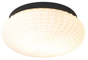 Klasszikus mennyezeti lámpa fekete opál üveggel 30 cm IP44 - Nohmi