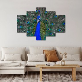 Kép - Páva (150x105 cm)