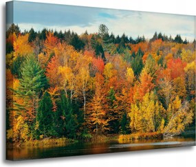 Vászonkép Színes Levelek Fák Ősz Természet 70x50 cm