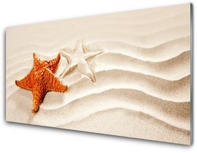 Akril üveg kép Starfish on Sand Beach 100x50 cm 2 fogas