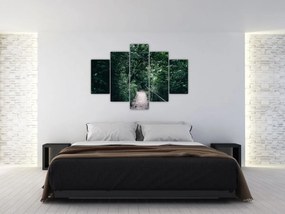 Kép - Az erdőn át vezető út (150x105 cm)