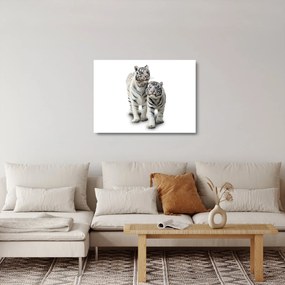 Üveg kép - A fehér tigris (70x50 cm)