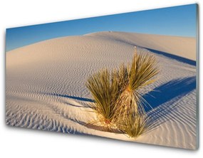 Üvegfotó Fekvő sivatagi homok 125x50 cm