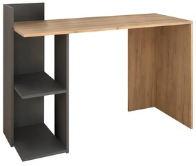 PC asztal Alamein (artisan tölgy + grafit) . 1116231
