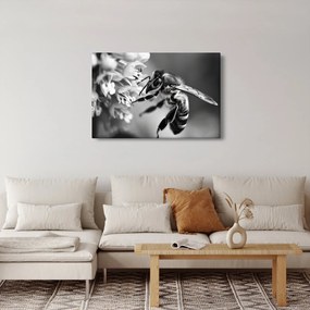 Kép - A méh részlete (90x60 cm)