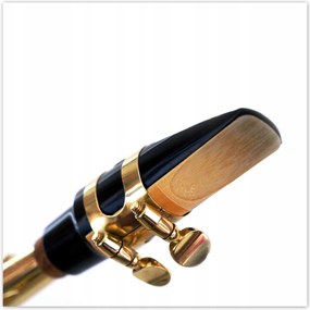 Poszterek 100x100 Saxophone