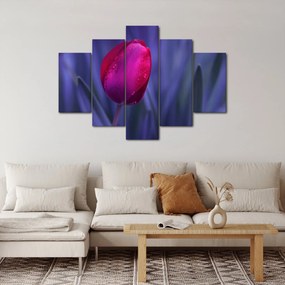 Tulipán bimbó képe (150x105 cm)