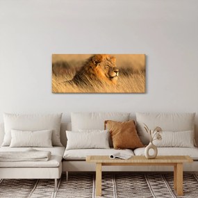 Kép - Etosha Nemzeti Park (120x50 cm)