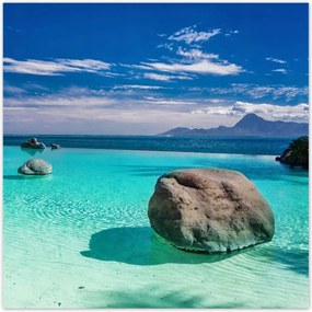 Poszterek 70x70 Trópusok Tájkép Pálmafák