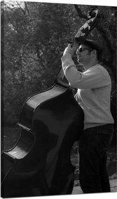 Vászonkép Zene Zenész nagybőgő Hangszerek 70x120 cm