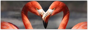 Poszterek 200x66 Szerelmes pelikánok
