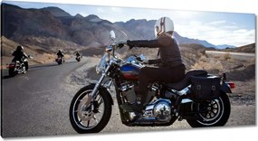 Képek 115x55 Harley Davidson Motorkerékpár