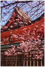 Poszterek 80x120 Japán templom