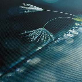 Kép - Makró (70x50 cm)