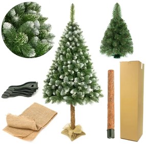 Karácsonyfa tönkön 180 cm fenyő