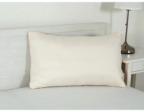 Mikroszálas párnahuzat 45x75 cm Summer – B.E.S.