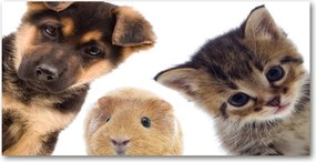 Fotó-üvegkép Háziállatok 140x70