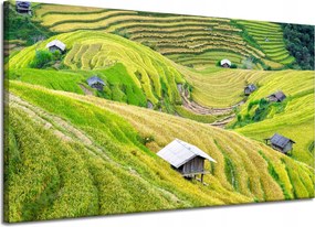 Vászonkép Természet Mezőgazdasági teraszok 120x70 cm