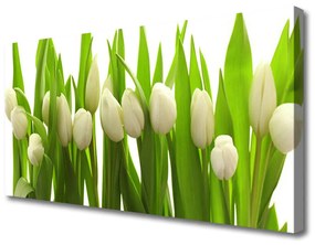 Vászonkép Tulipán virágok Plant 100x50 cm